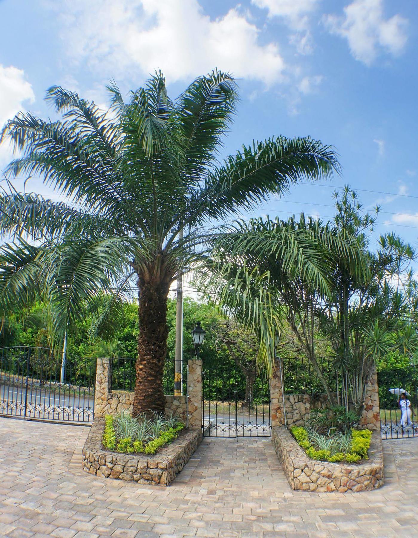Urban Hotel Boutique Menga ภายนอก รูปภาพ